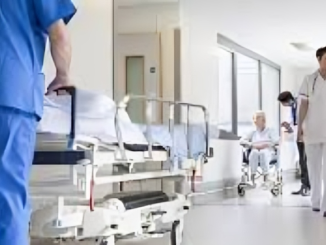 Spire Health Care Share Price