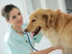 KC Health Checker